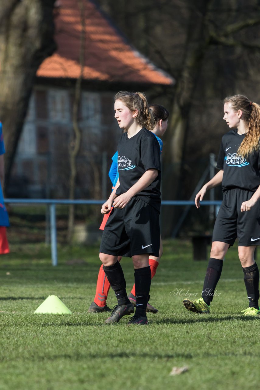 Bild 282 - C-Juniorinnen SV Steinhorst/Labenz - TSV Friedrichsberg-Busdorf : Ergebnis: 5:0